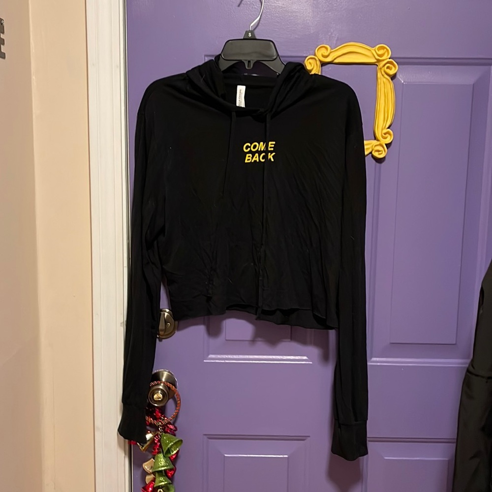 Noah Schnacky Come Back cropped light weight hoodie